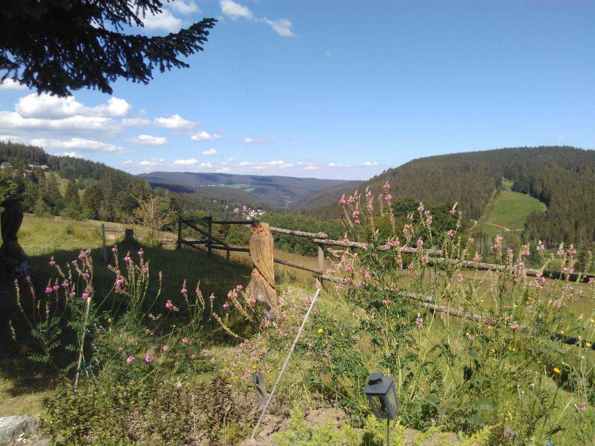 Ferienwohnung Im Haus Boell Feldberg  Buitenkant foto