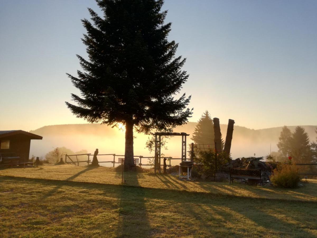 Ferienwohnung Im Haus Boell Feldberg  Buitenkant foto